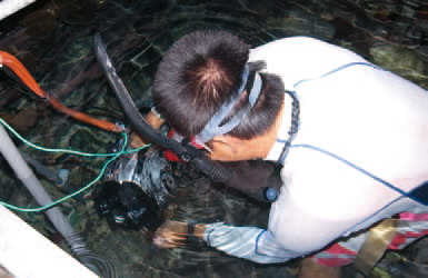 The researcher is setting up the camera in the large sink to simulate the situations under the sea. / Photo provided by Dr. Fang-pang Lin