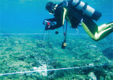 The researcher was conducting the monitoring of the transect lines of coral reefs. / Photo provided by Dr. Tung-yung Fan