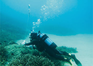 The measurement of water temperature and depth is also an important procedure of the recording task. / Photo provided by Dr. Tung-yung Fan