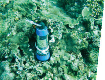 This is the recording machine for long-term monitoring of the water temperature. / Photo provided by Dr. Tung-yung Fan