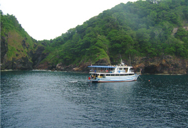All dive sites have several mooring buoys laid by the Thai navy, so that dive boats wouldn't harm the corals and the marine life. /by Li-ling You