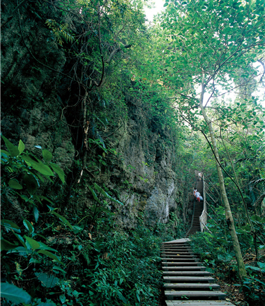 Wooden paths are built in Shou-shan, allowing tourists to enjoy the views along the hiking trails. / Photo provided by Trongman Co.Ldiv></div>


<div></div>


<div>
<p class=