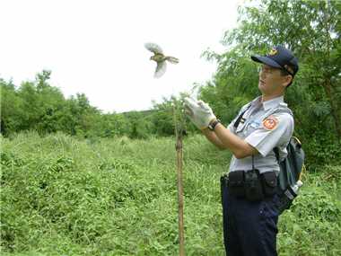 Building a good environment for birds is the goal that we all need to work on together. / Photo provided by Zai-quan Xiao