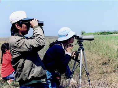 When off work, Lin would volunteer as an interpreter and guided citizens to watch birds in Guandu, Yeliou, Wulai, HuaJiang Bridge, Yake River, etc., and sometimes participated in bird banding projects. /Photo provided by Ling Lin