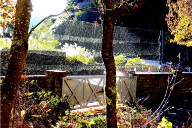 The use of a mist net is the most common way when doing bird banding, but the circumstances on the spot play a role too. /Provided by Chao-chieh Chen