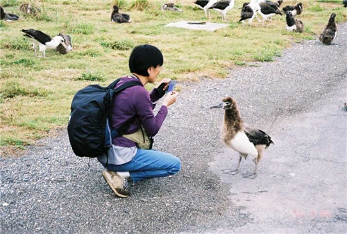 Observing and recording bird's behavior characteristics and habits are important procedures to establish bird database. / Photo provided by Lucia Liu Severinghaus