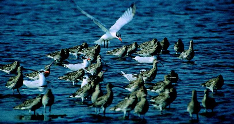 National Parks have been established one after another, so the natural environment in Taiwan can be well preserved. ／Photo provided by Kinmen National Park