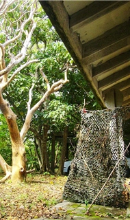 In order to observe Muller's Barbet (Megalaima oorti) at close distance, Liu set up a camouflage net outside the window of his office.