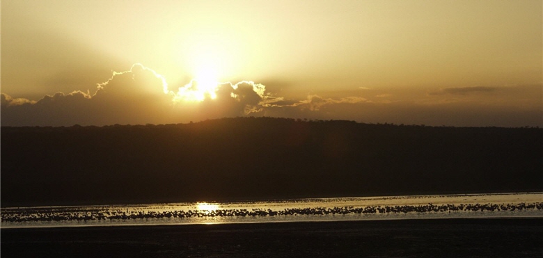 In the twilight, birds congregate on the lake; Chang hopes that this lively scene should not just appear in the photograph. / by Lung-sheng Chang