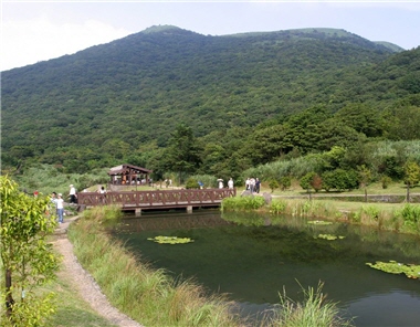 In Yangmingshan National Park, from Erzihping to Xinbeitou there is lush and verdant landscape and multiple bird species, making the area one of the most well-liked bird-watching sites in the park. ／ Photo provided by YMSNP