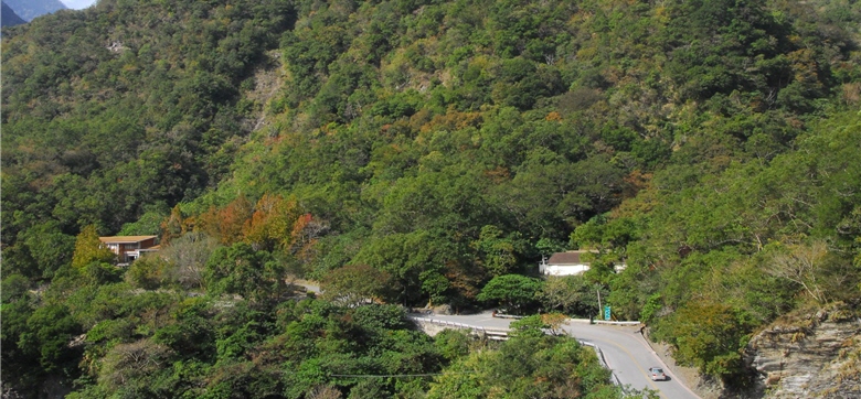 Lüshui Trail, Buluowan and Shakadang Trail are some of the must-gos for bird-watching in Taroko National Park. /by Mao-yao Lin