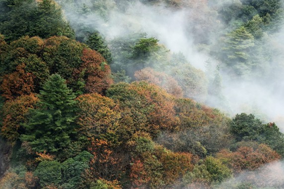 alt-乘坐綠色運輸，走訪塔塔加群峰，眺望百岳美景-2