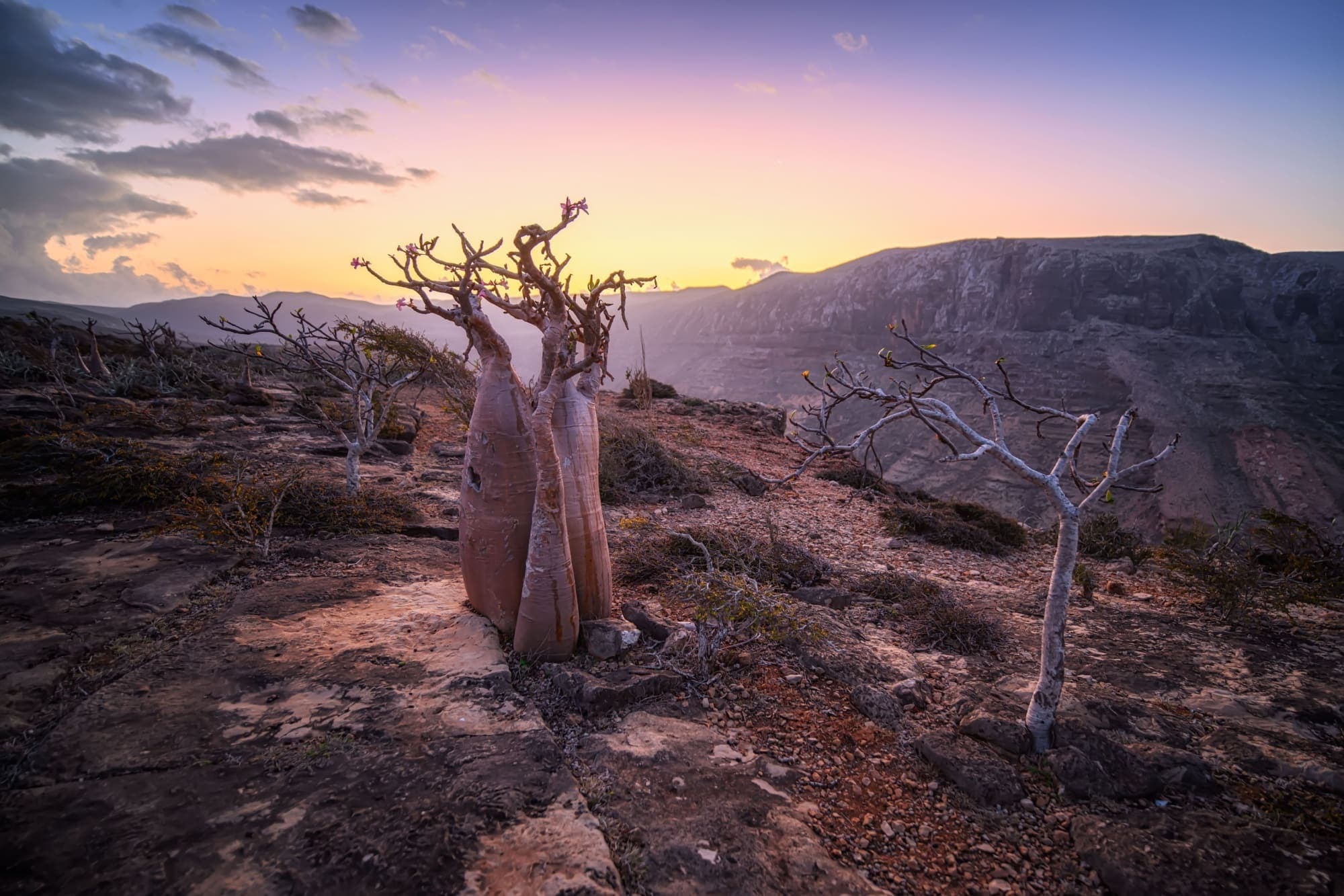 到2030年，陸地保護區需增加一倍，海洋保護區需增加三倍