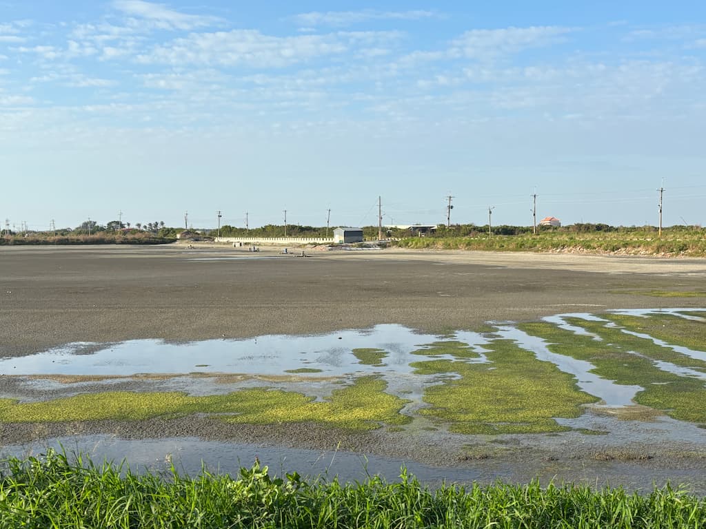 入冬前收成後的魚塭需曬池消毒，殘留的水層及小魚，成了水鳥的餐桌。攝影：廖靜蕙