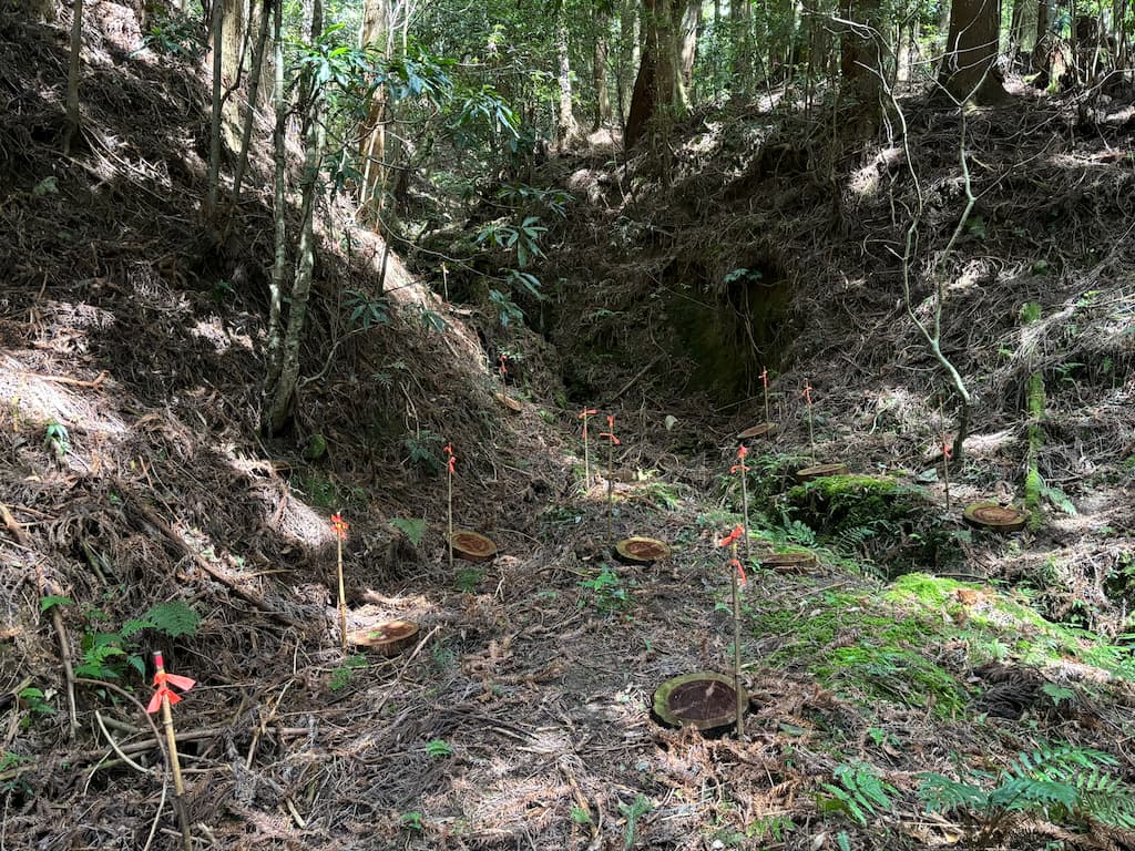 alt-極端氣候山椒魚先知道 監測山椒魚預知人類未來-2