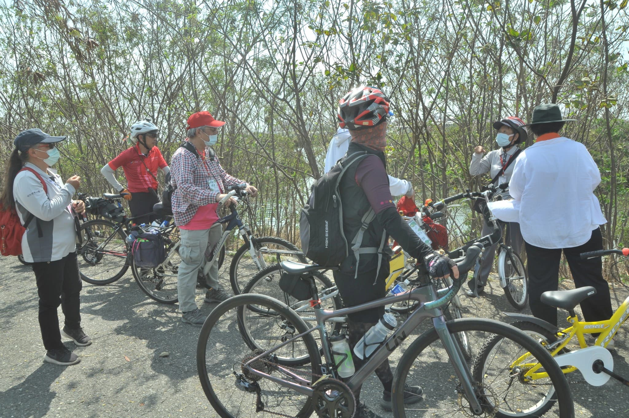 alt-台江單車慢遊：親子賞鳥、看濕地的完美行程-1