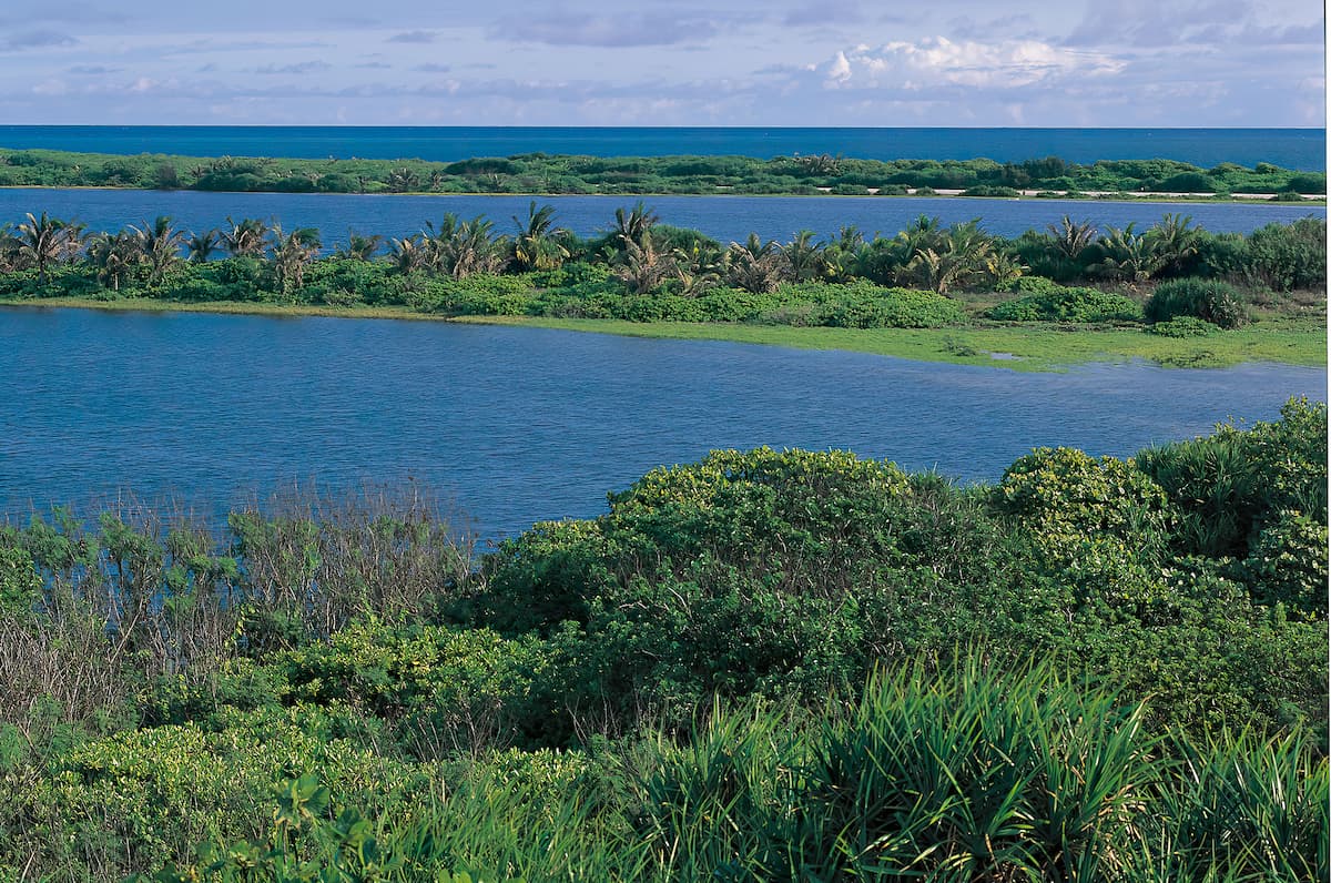 東沙潟湖完整的生態環境，提供海洋生物庇護，造成生物多樣性。圖片來源：國家公園署提供