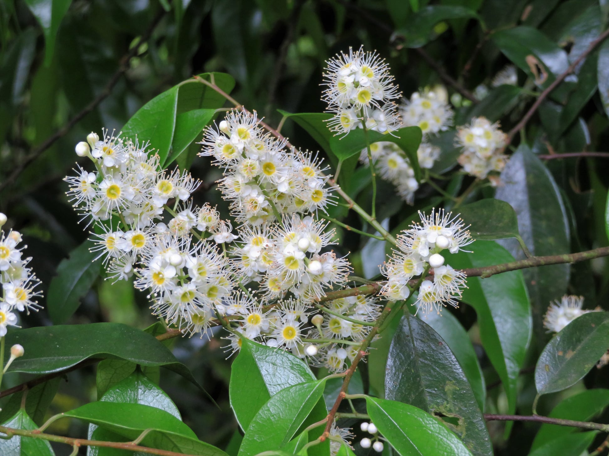 alt-當書本遇見山林：陽明山上的奇妙環境教室-3