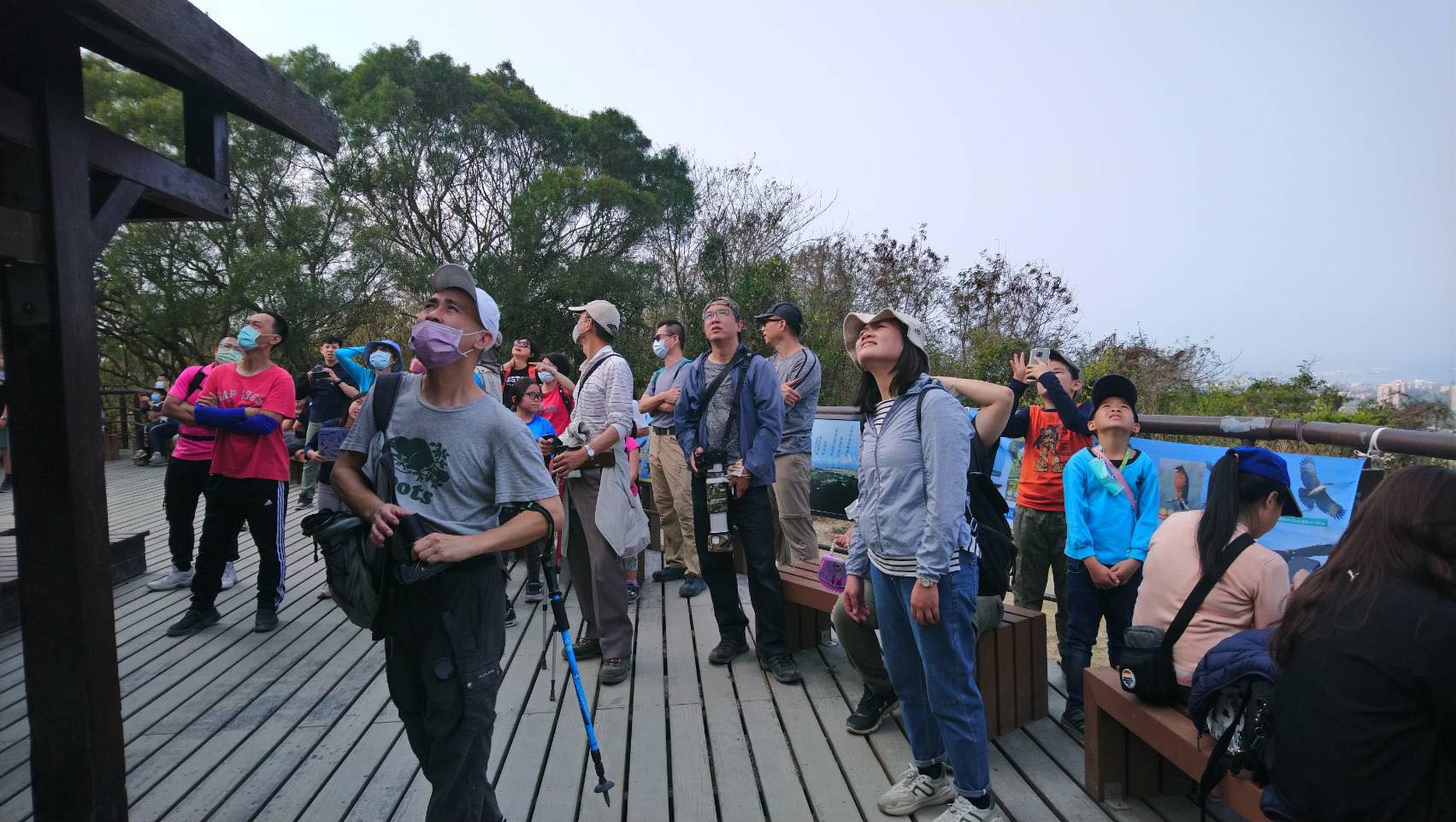 每年3月中旬開始，天天都是賞鷹日，3月最先抵達的是灰面鵟鷹，然後才是4月下旬的赤腹鷹