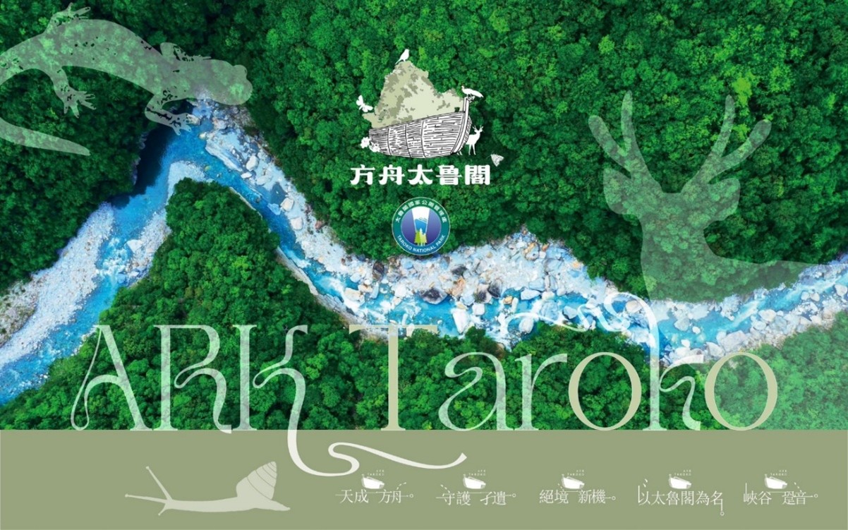 太管處影片《方舟太魯閣》裡面也有提到關於南湖柳葉菜的相關資訊(太管處提供)