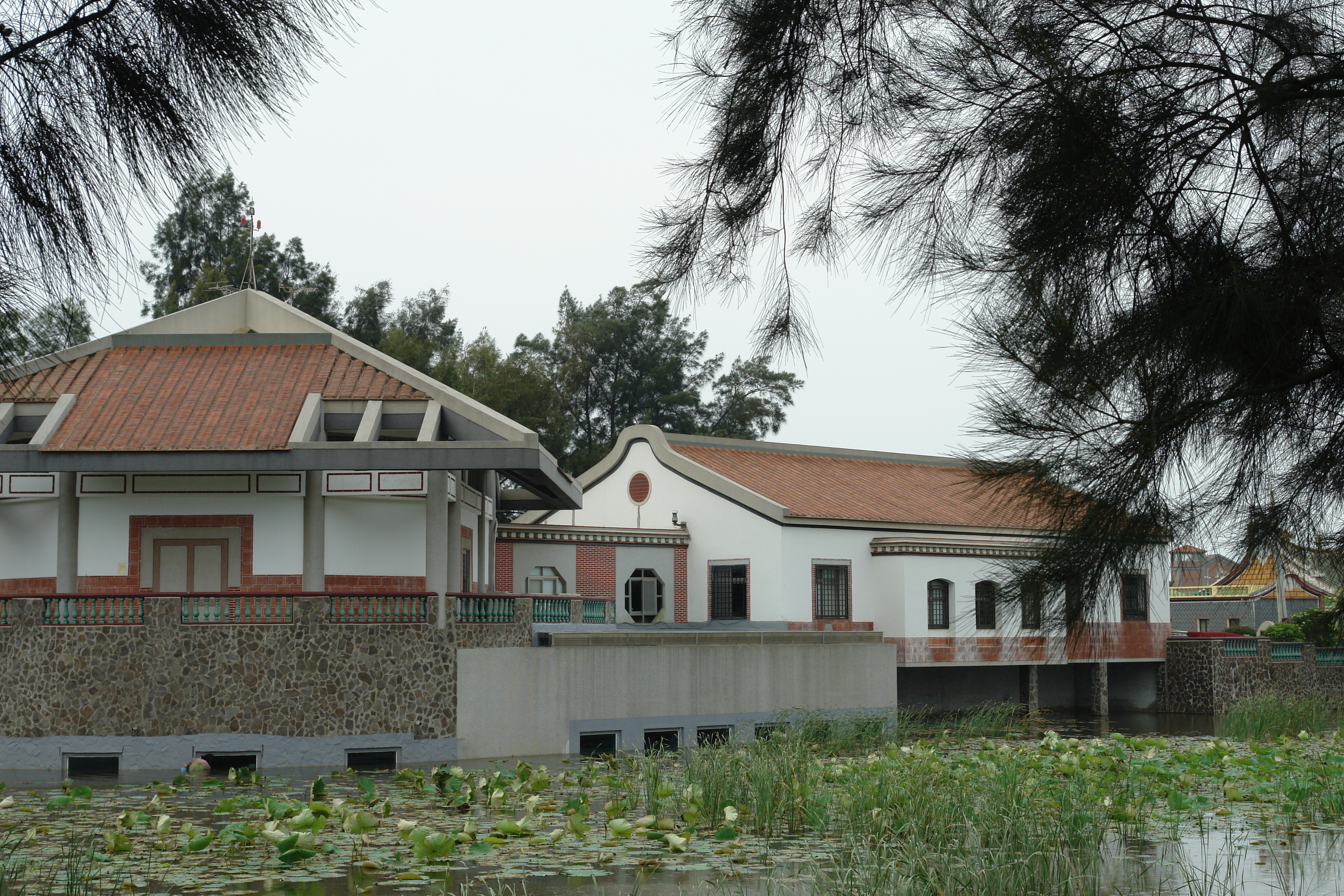 alt-可愛動物篇：一起來認識金門萌主「歐亞水獺」-2