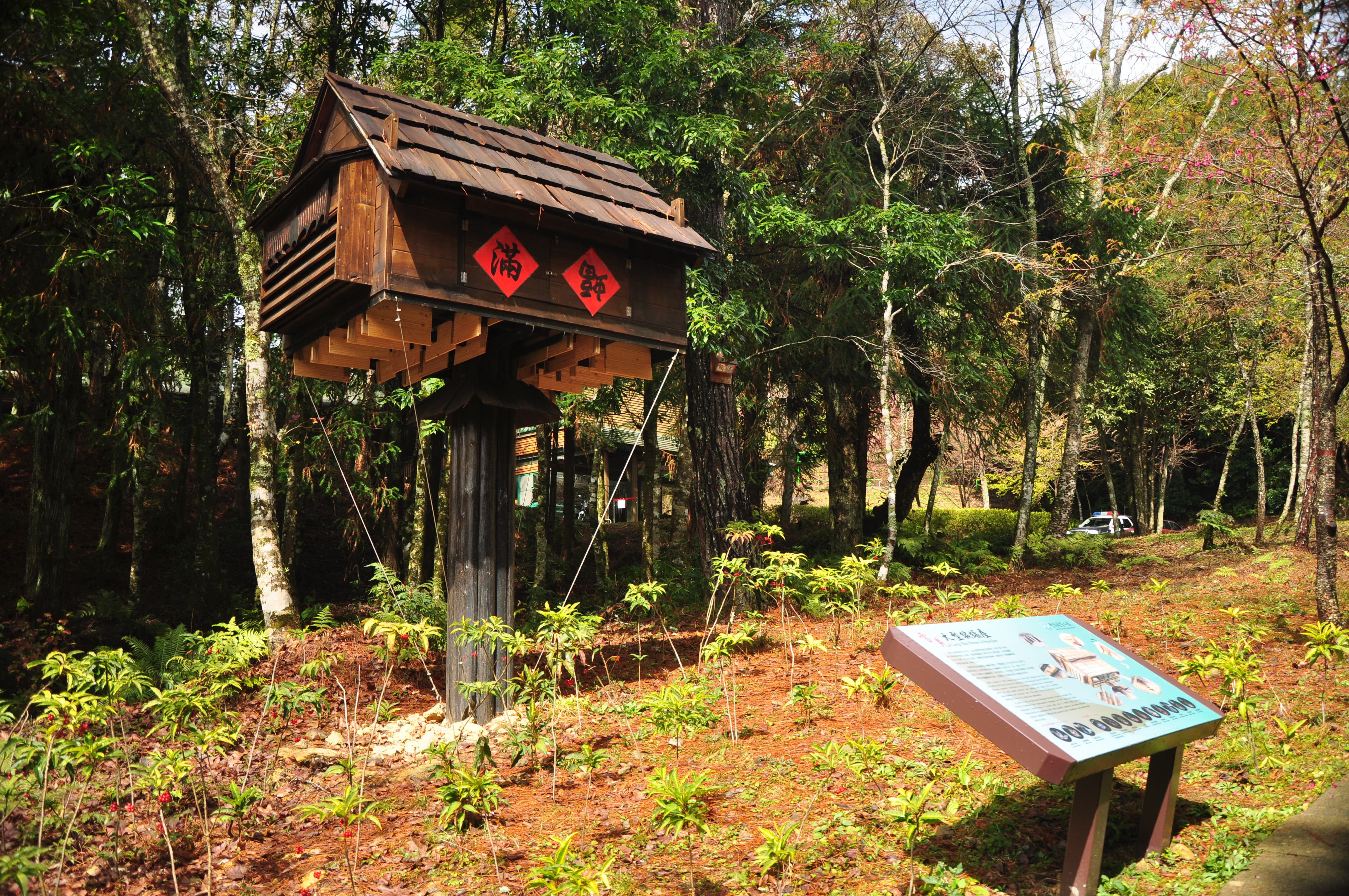 alt-雪霸蝙蝠調查成果豐碩-霜毛蝠再現觀霧、國內首次記錄保育類臺灣無尾葉鼻蝠利用蝙蝠屋-1