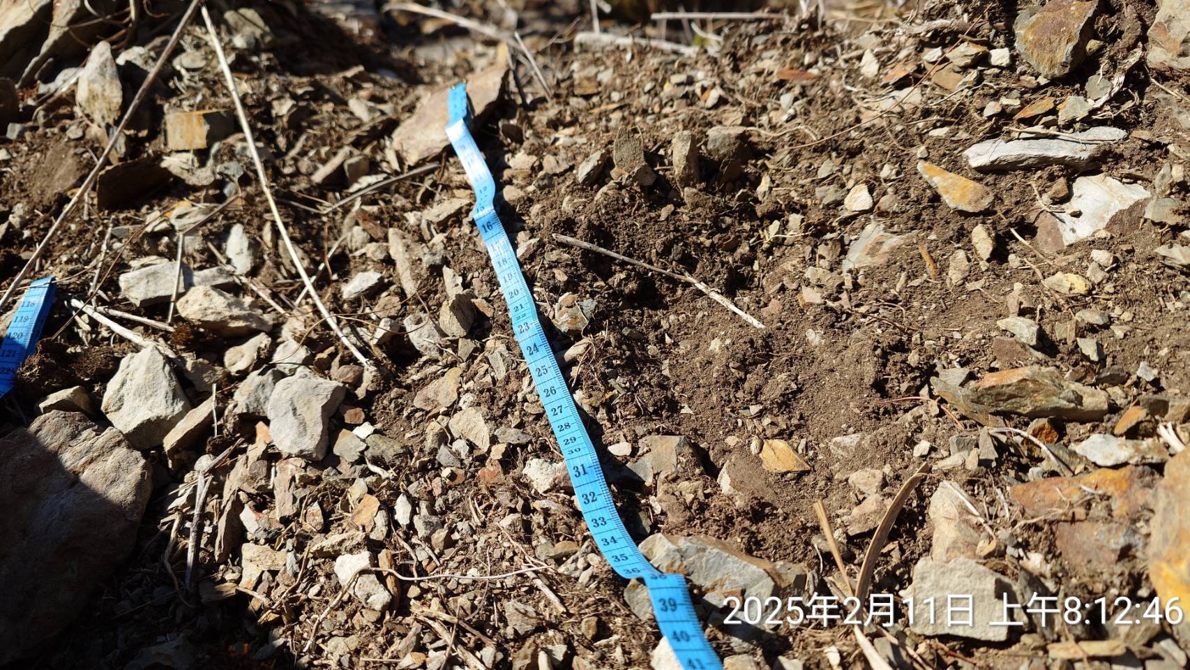 alt-新春黑熊現 無痕山林行-2