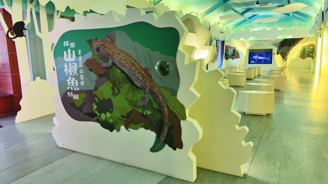 「走進高山島嶼 ― 探索山椒魚」特展