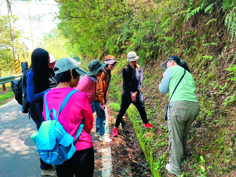 「霧裡看花」──觀霧步道植物導覽