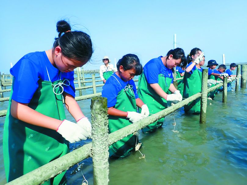 親子環教：蠔小子蚵南