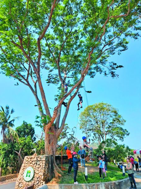 壽山淺山學堂–展示館驚奇夜