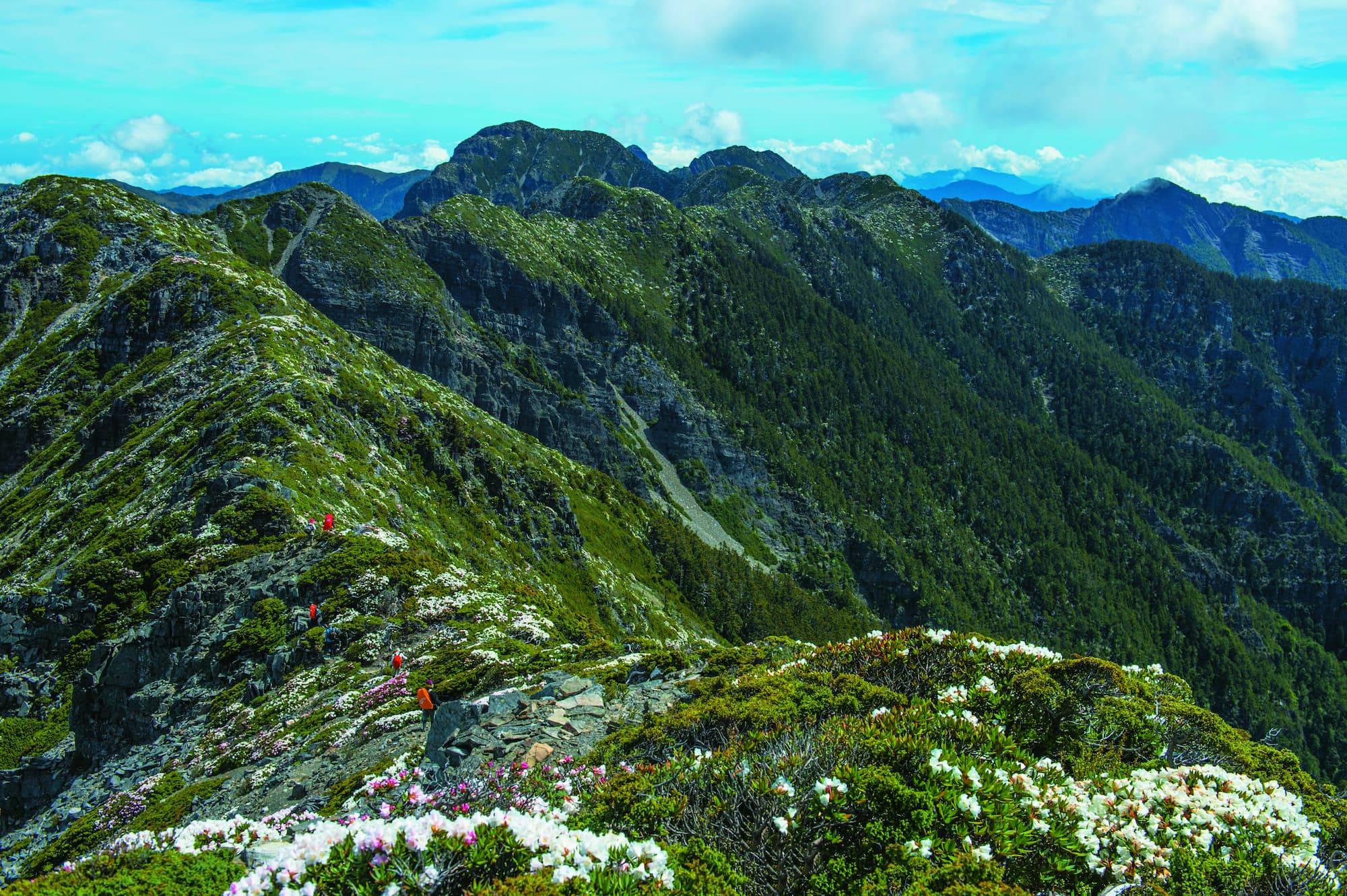 透過調查國家公園內的自然碳匯，讓國家公園的無形價值藉量化被看見／賴錦煌 攝