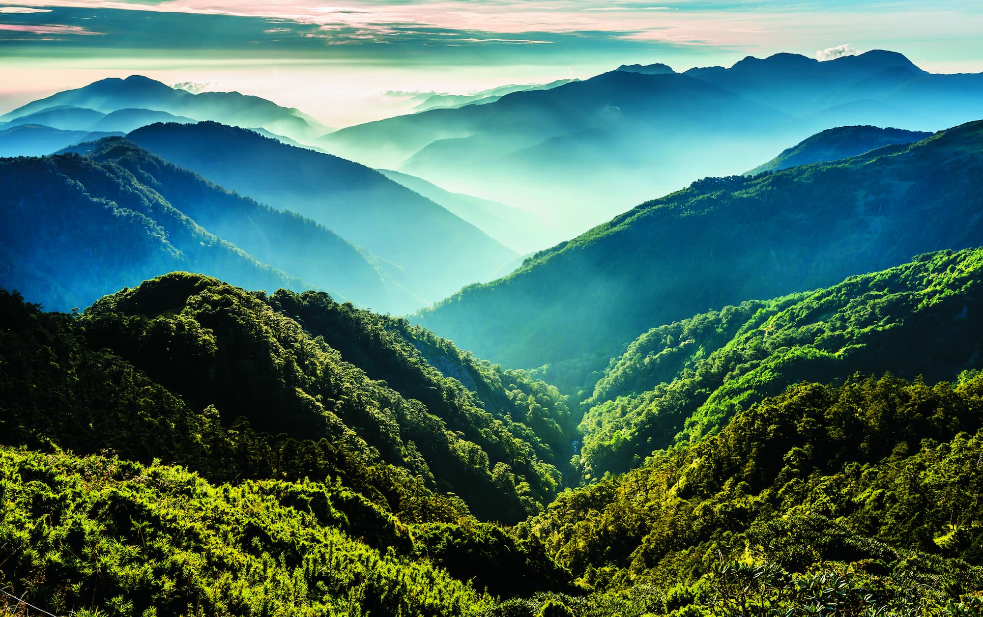 將國家公園的生態服務價值量化後，能讓人更直觀理解保護自然環境的重要性／BING-JHEN HONG 提供（iStock）