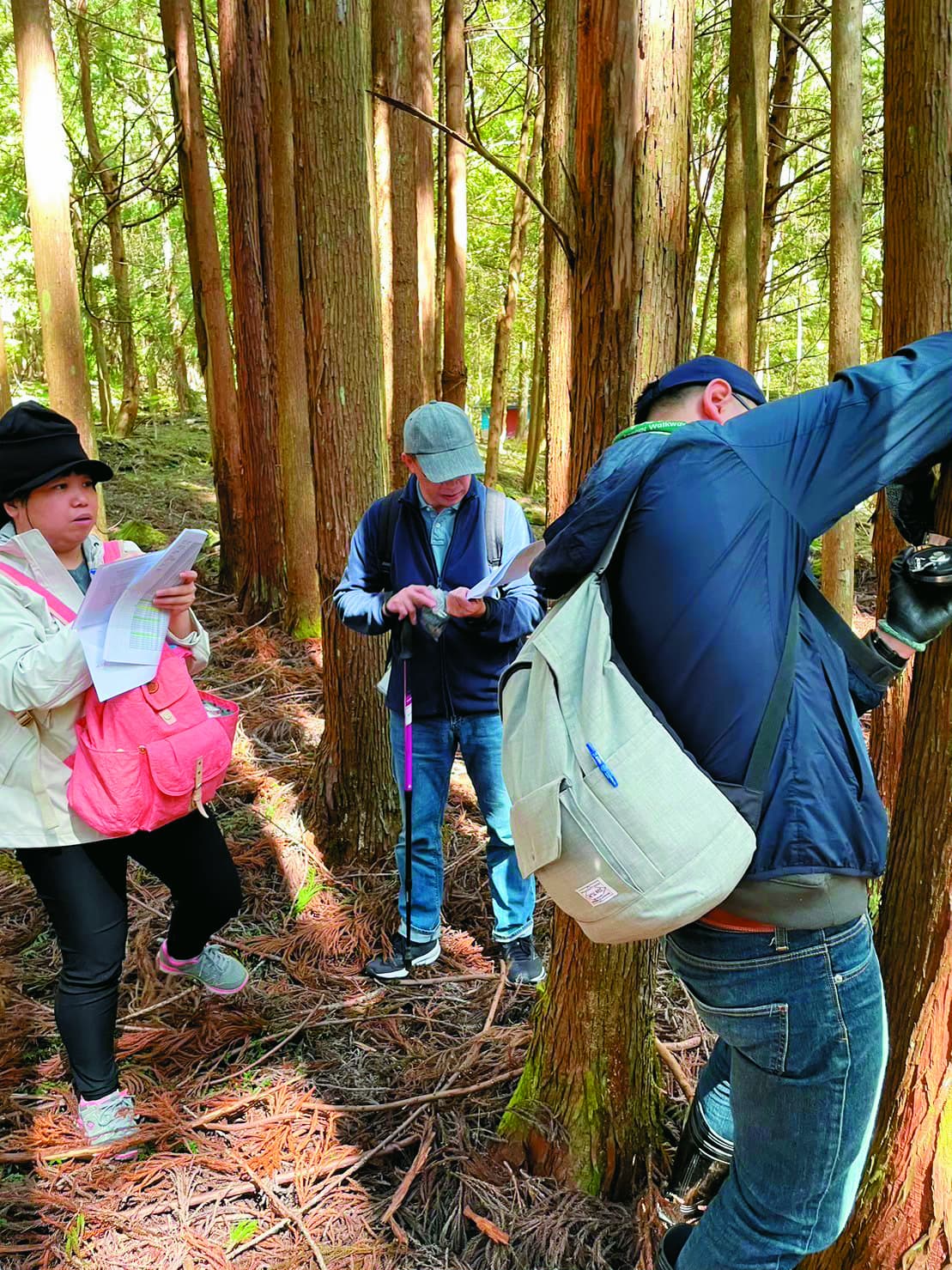 進行玉山國家公園人工林樣區調查／台灣地理資訊中心 提供