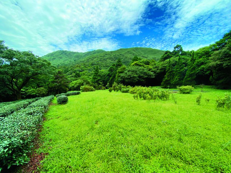 陽明山國家公園第2苗圃基地，主要培養園區內的原生喬灌木／陽管處 提供