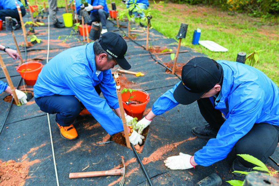 將山油麻放入植穴中／萬海航運 提供
