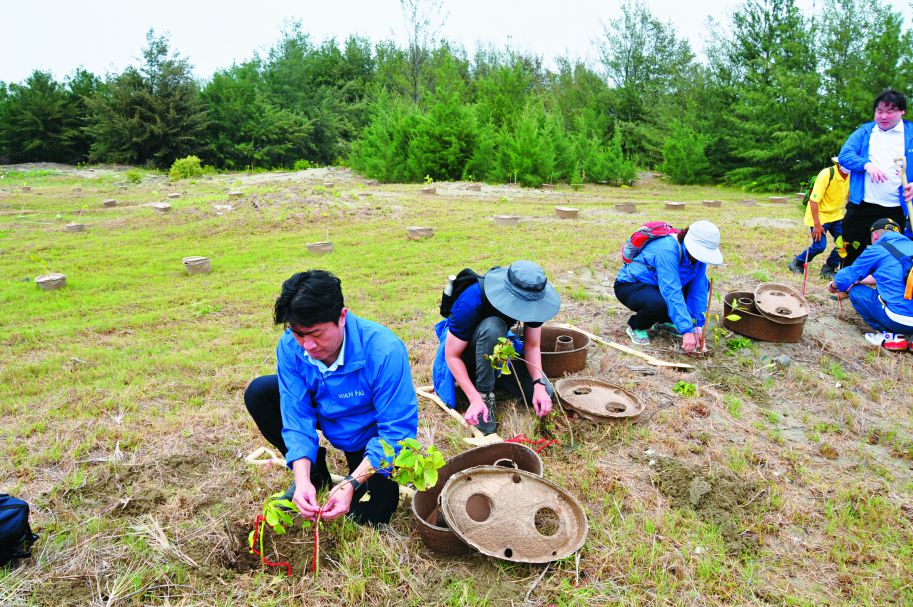 台江國家公園選擇防風、護沙植物強化海岸造林，以水寶盆種植，助植物穩定生長／萬海航運 提供