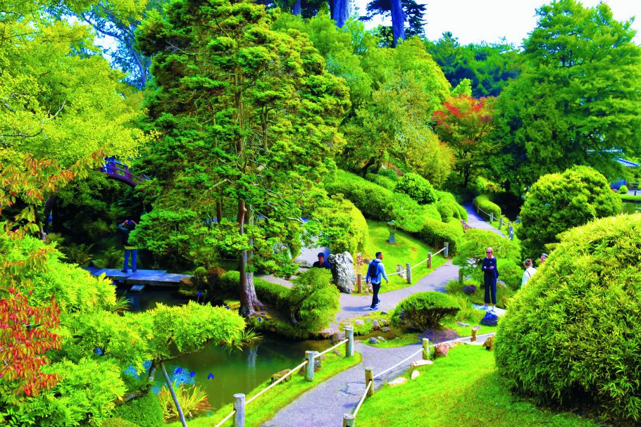 走進都市中的公園綠地，享受來自自然的綠色處方箋，圖為舊金山金門公園／Jeffrey Eisen 提供