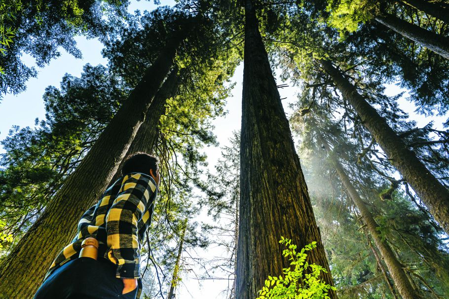 認識森林的多重價值， 讓人類與自然和諧共存／Eelco
Böhtlingk 提供