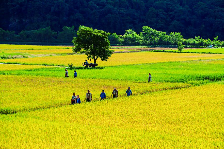 走過10年的「玉山瓦拉米」成為臺灣的永續行動重要案例／玉管處 提供（楊湘文 攝）