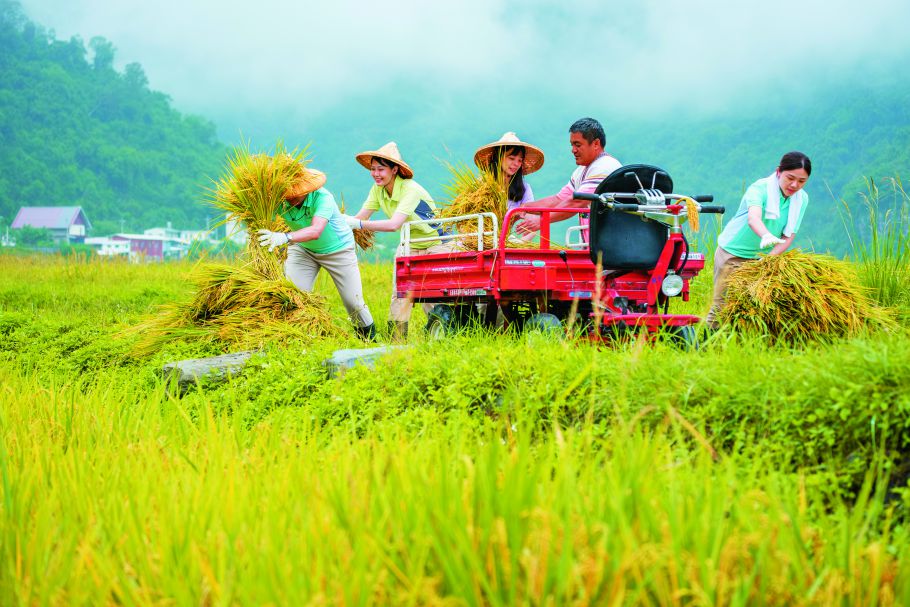 透過活動安排，讓企業同仁實地體驗農作辛勞，在與客戶分享瓦拉米故事時更有溫度