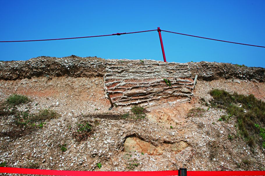 馬祖亮島挖掘出的貝塚，灰白色點狀物皆為先民食用後遺留下的貝殼／姚昇慧 提供