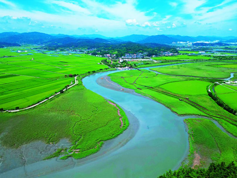 順天灣濕地／方偉達 提供