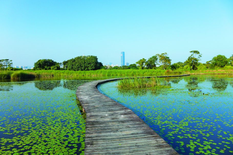 米埔自然保護區／Wpcpey提供