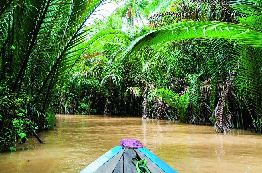 芹苴濕地／Nils Versemann提供（iStock）