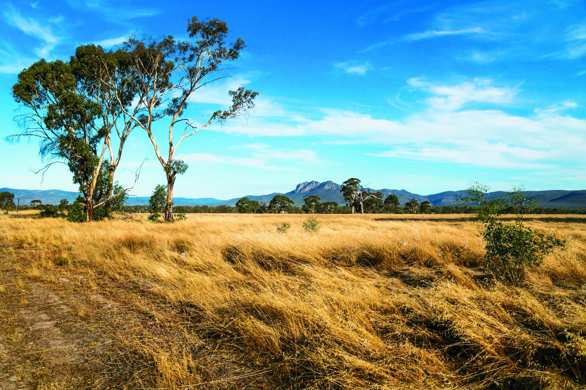 世界上許多國家公園效法美國國家公園的核心理念