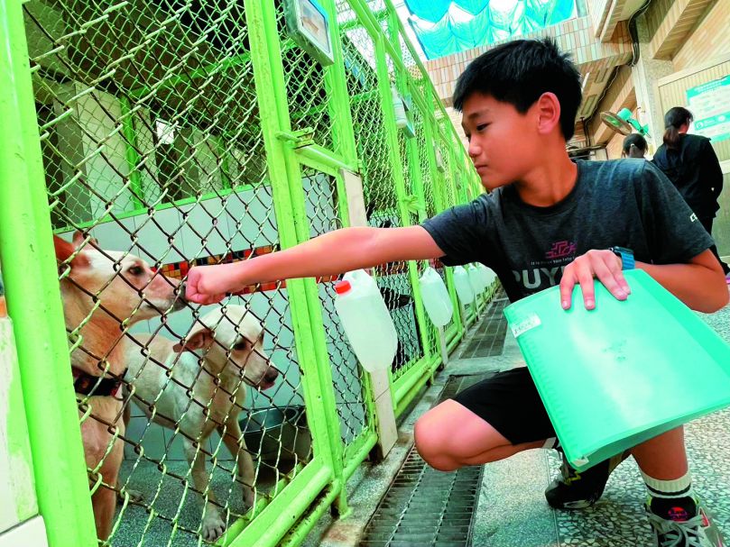 實地走一趟收容所，引發更多對於愛護動物的思索