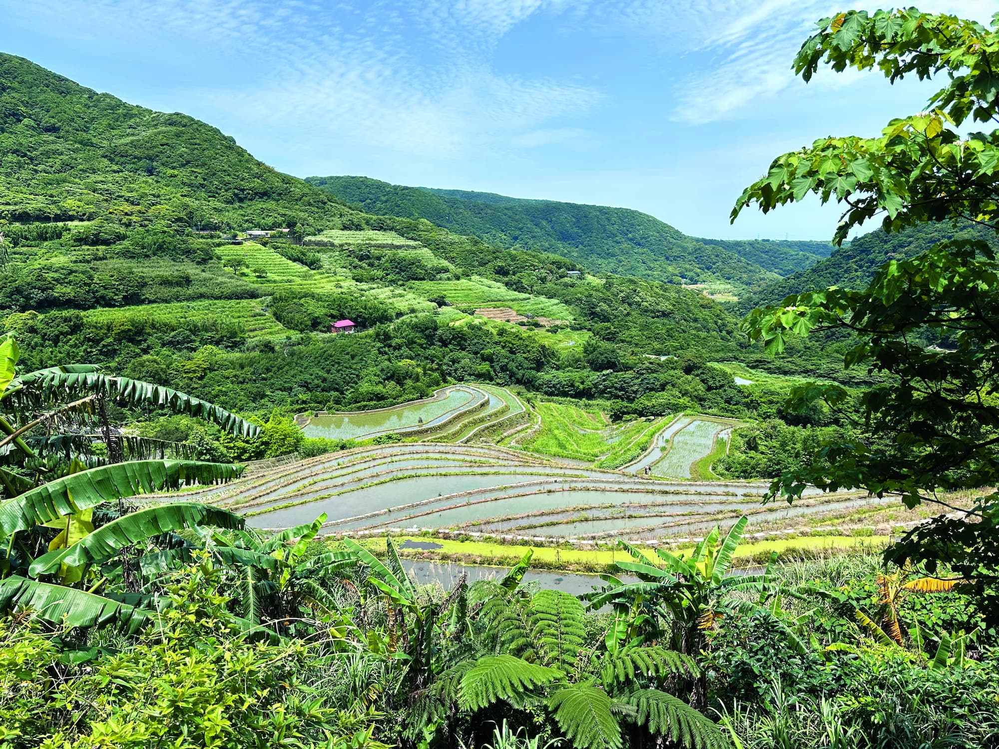 位於陽明山國家公園範圍內及周邊的石門嵩山百年梯田地景