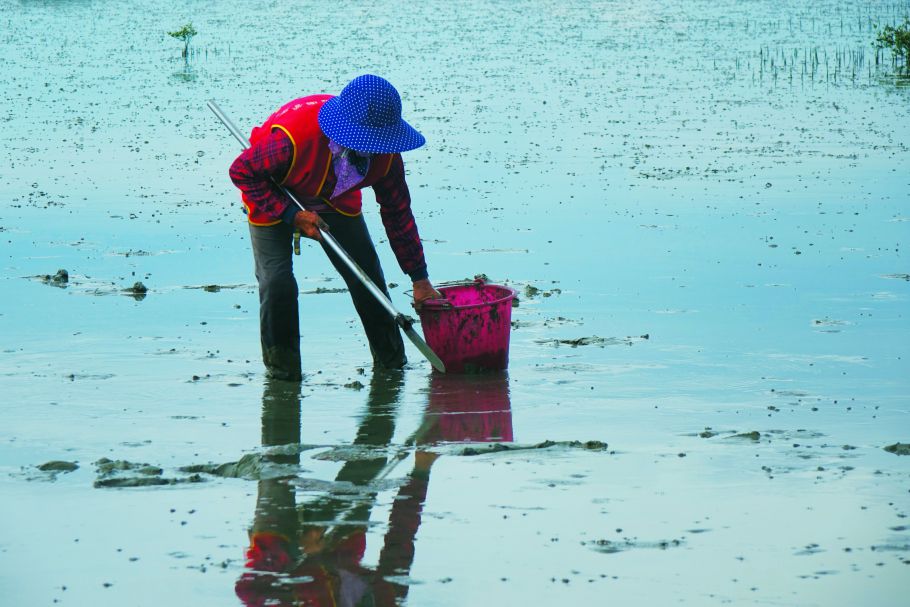 採赤嘴仔達人工作時使用的器具／台管處 提供