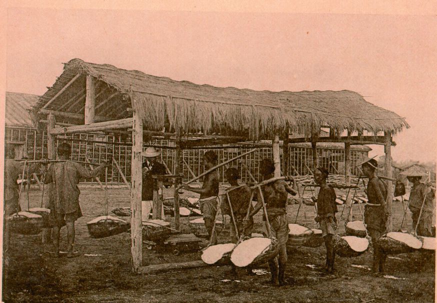 收納鹽秤量／國立臺灣大學圖書館